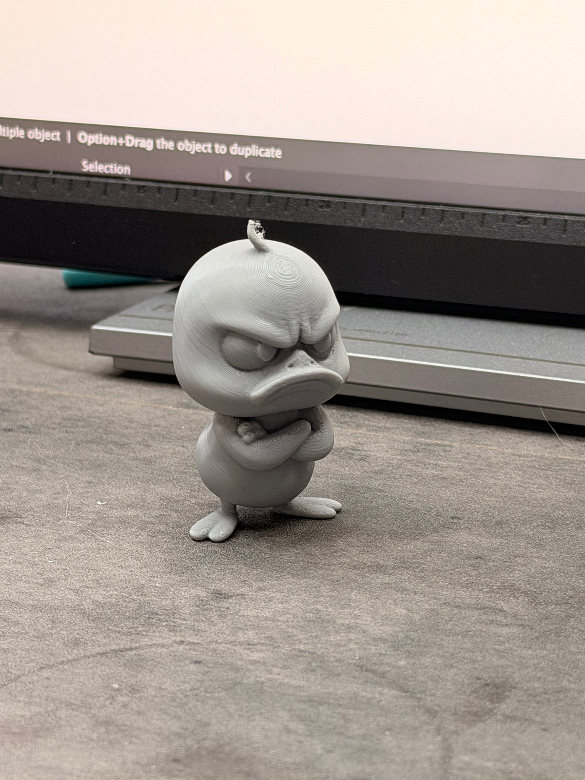 SALG - DeppaDuck