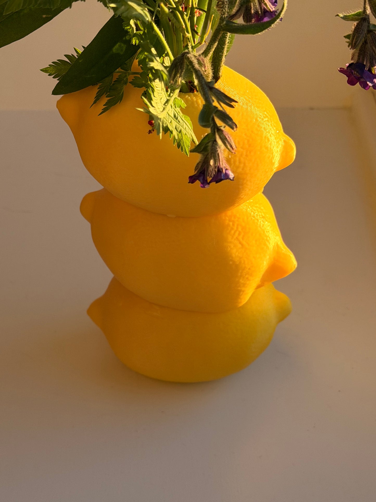 Sitronvase