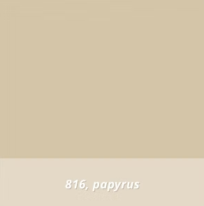 Papyrus #816