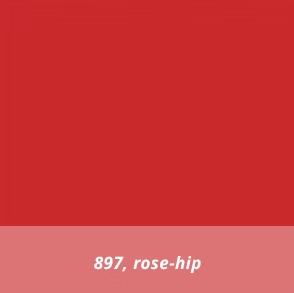 Rose-hip #897