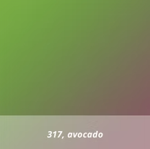Avocado #317