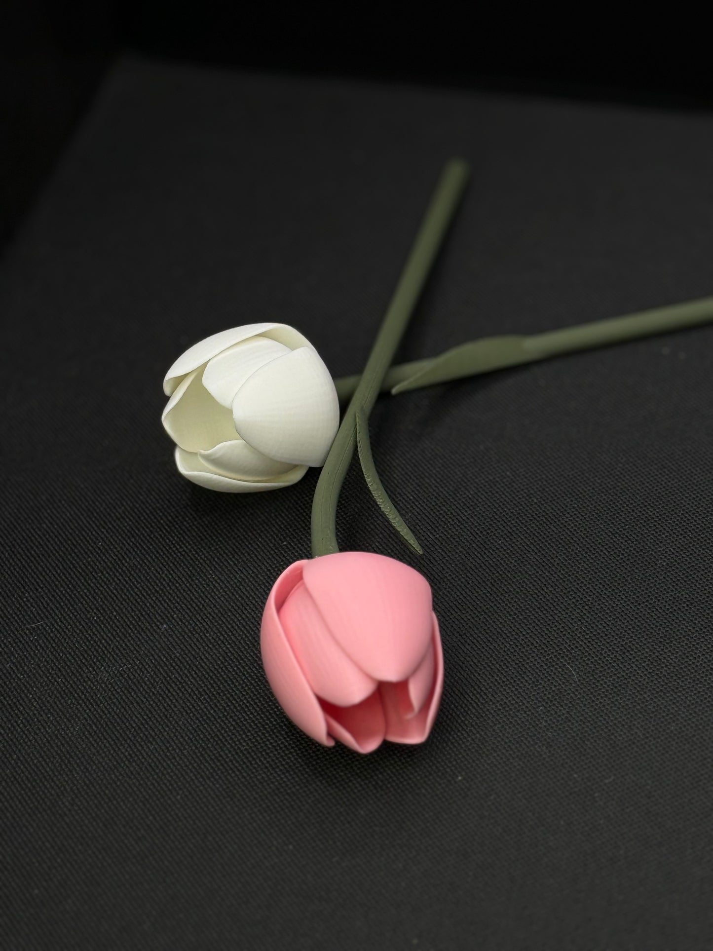 Tulipaner