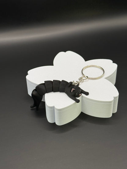 Katten Bølla 🐈‍⬛