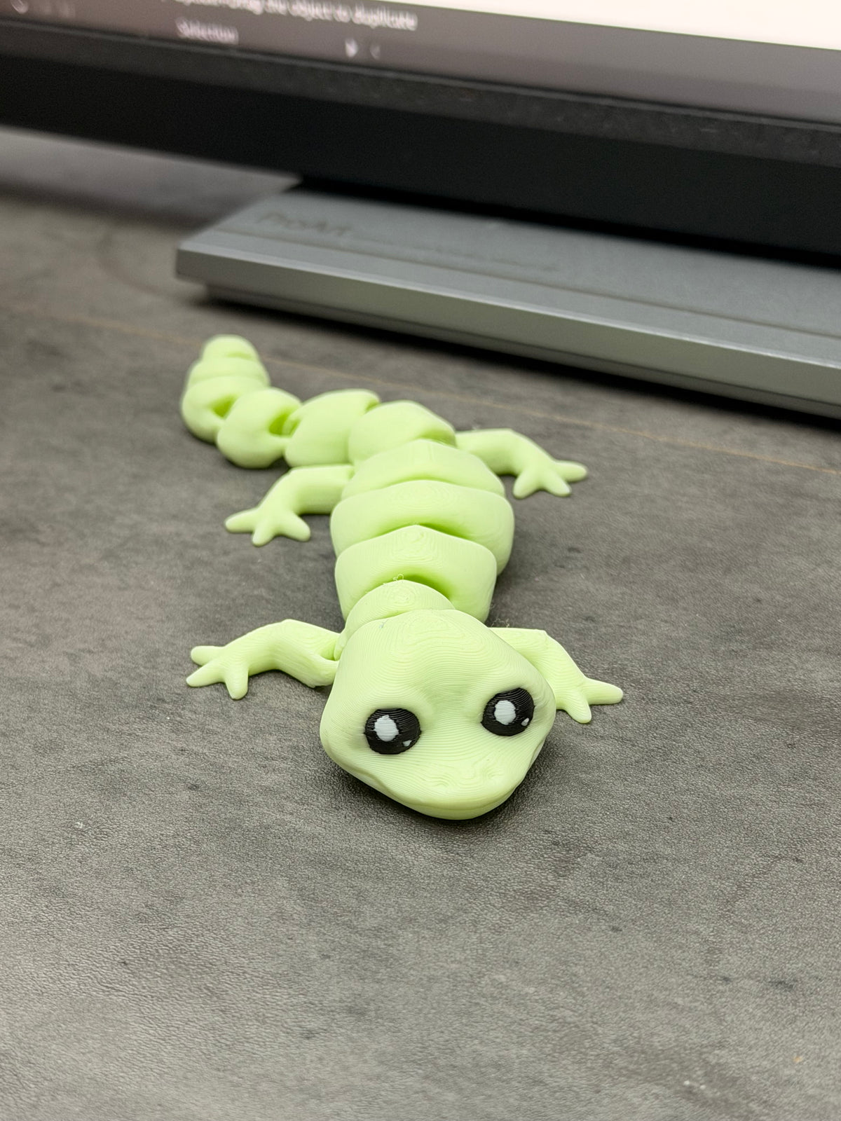 SALG - salamander (tilfeldig farge)