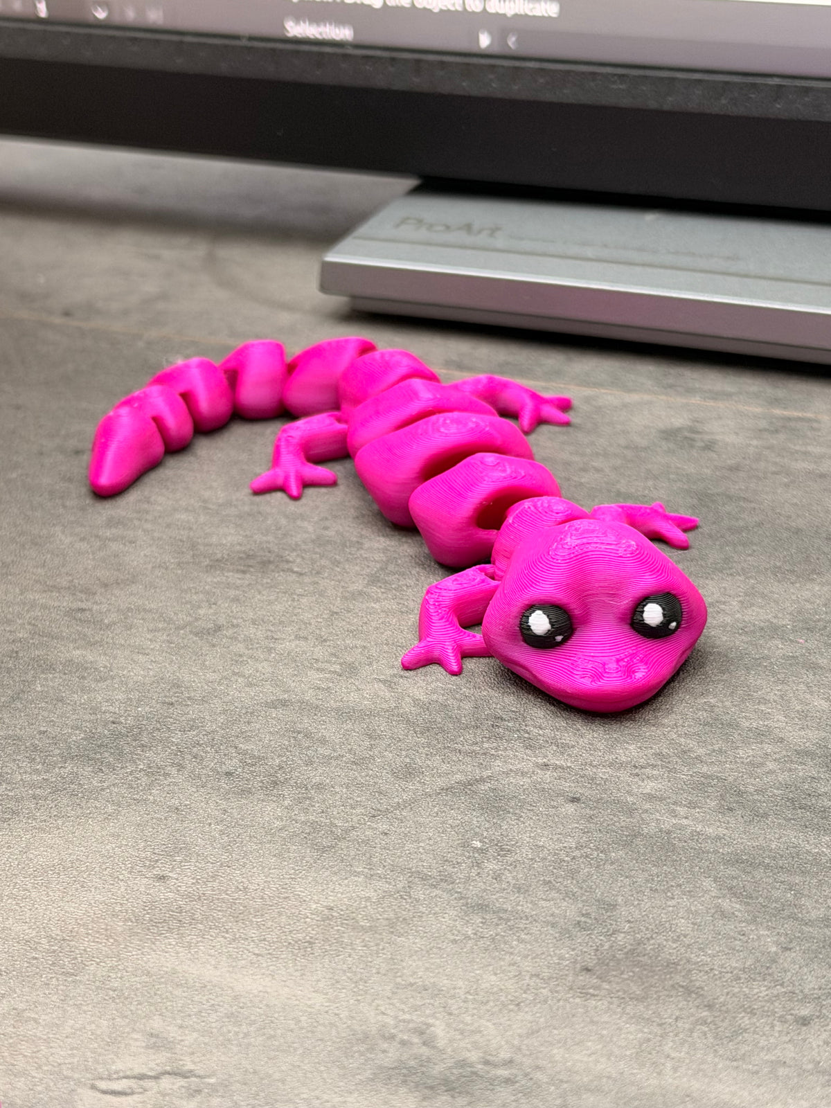 SALG - salamander (tilfeldig farge)