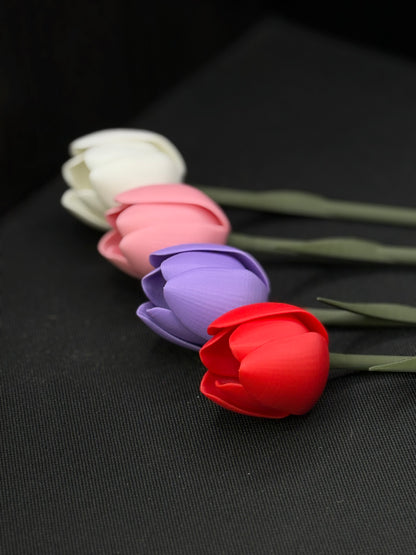 Tulipaner