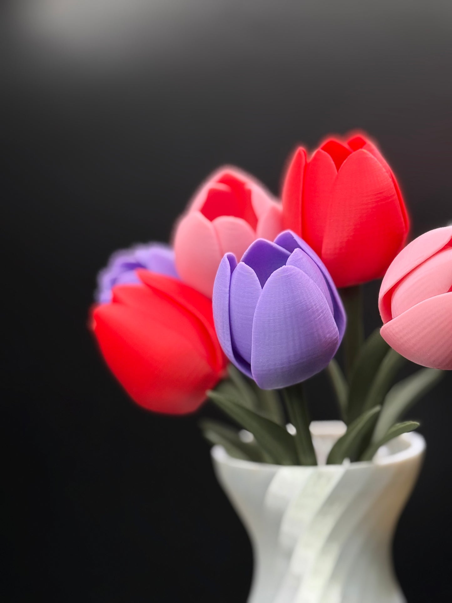 Tulipaner