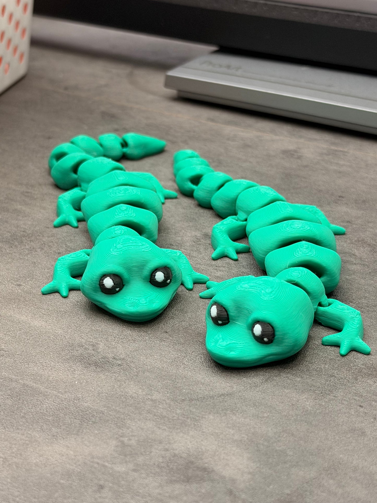 SALG - salamander (tilfeldig farge)