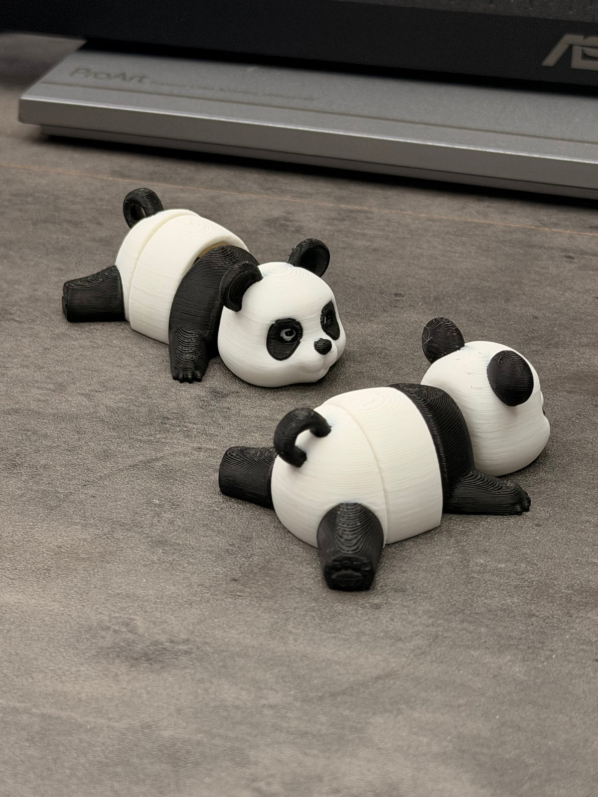 SALG - panda