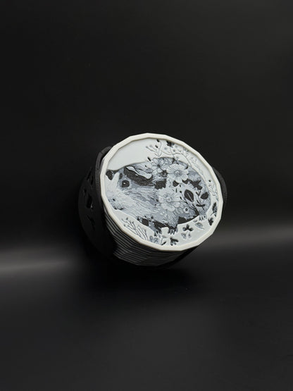 Marsvin glassbrikker