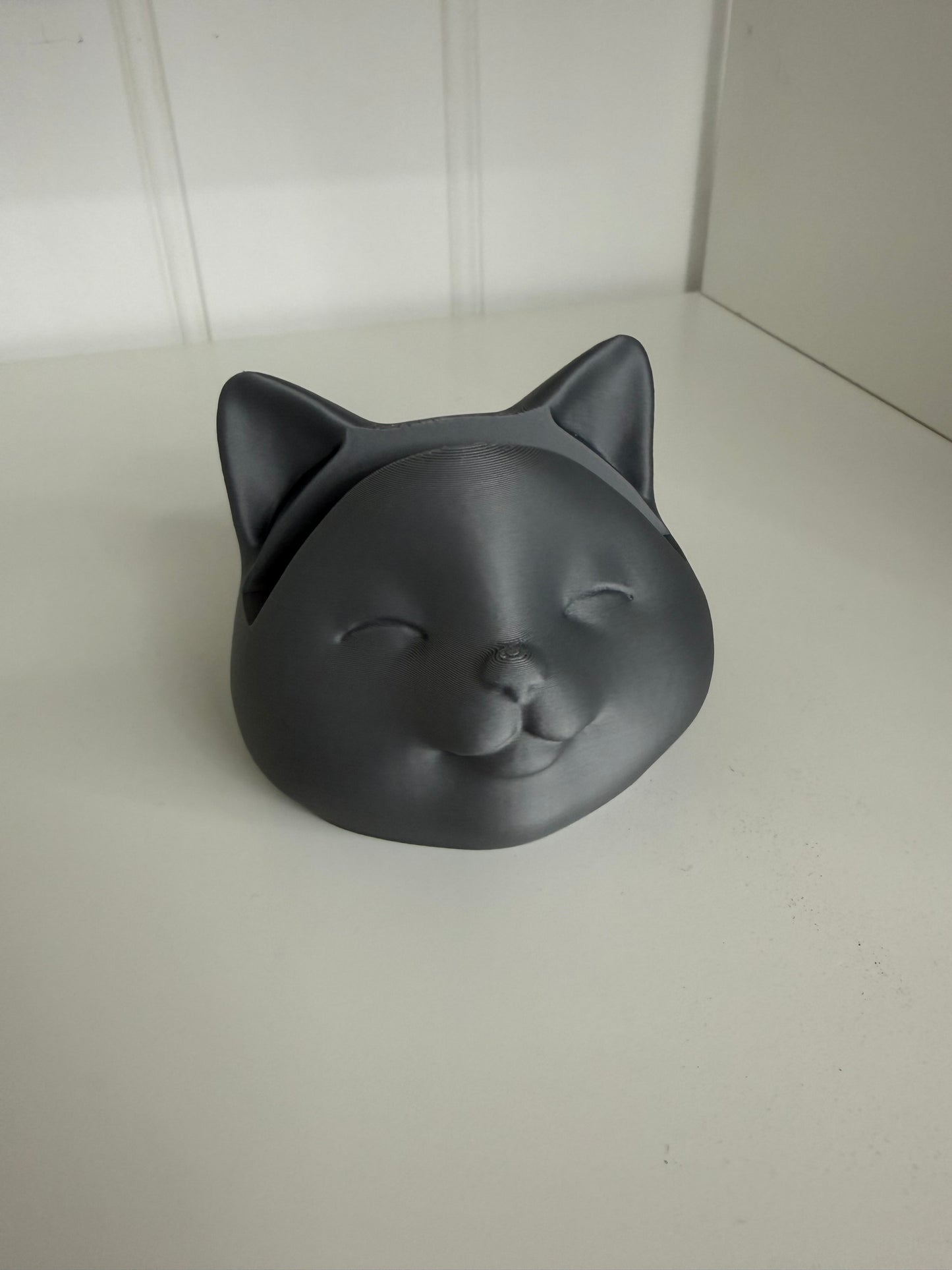 Brillekatt