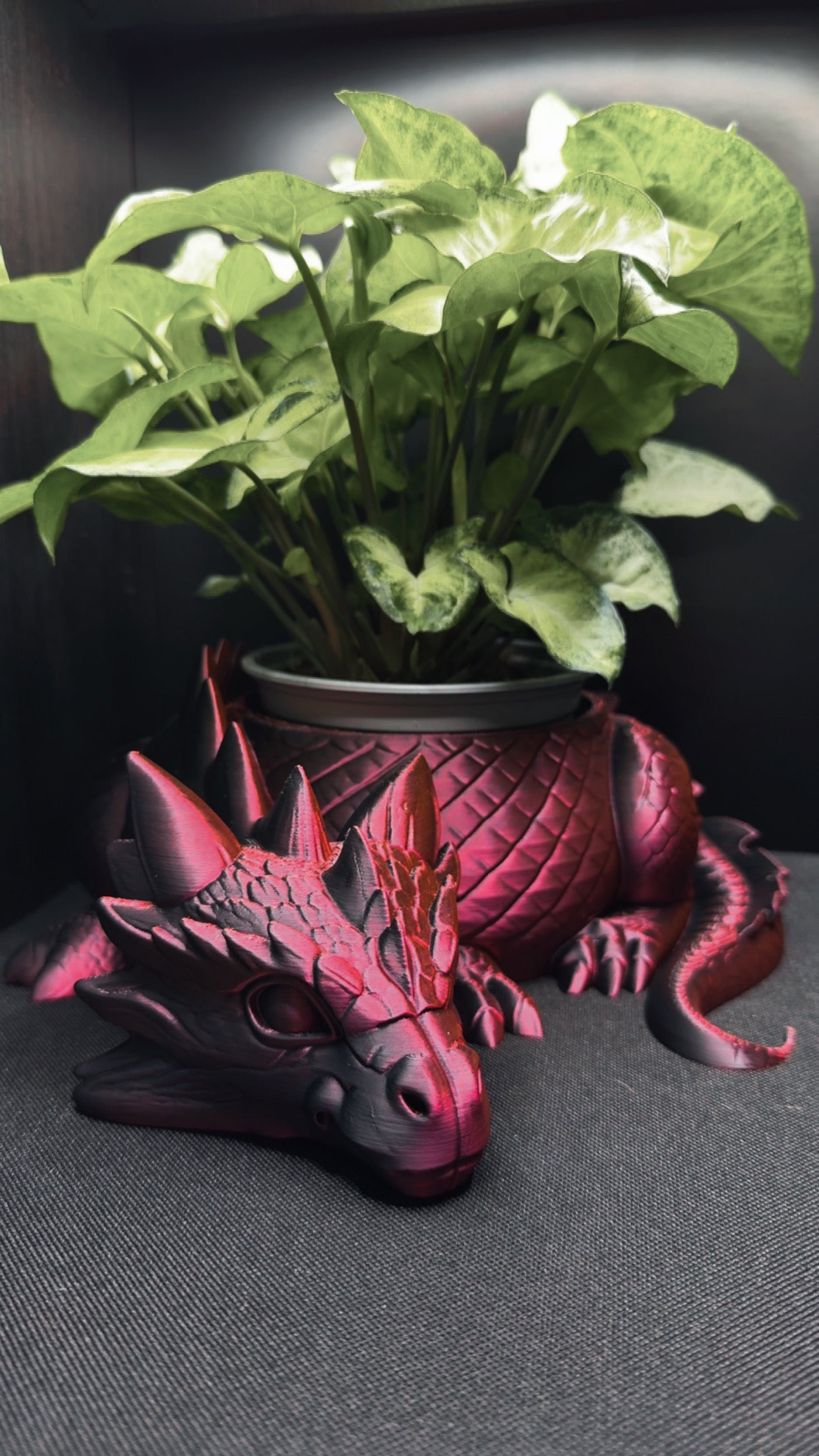 Dragepotte