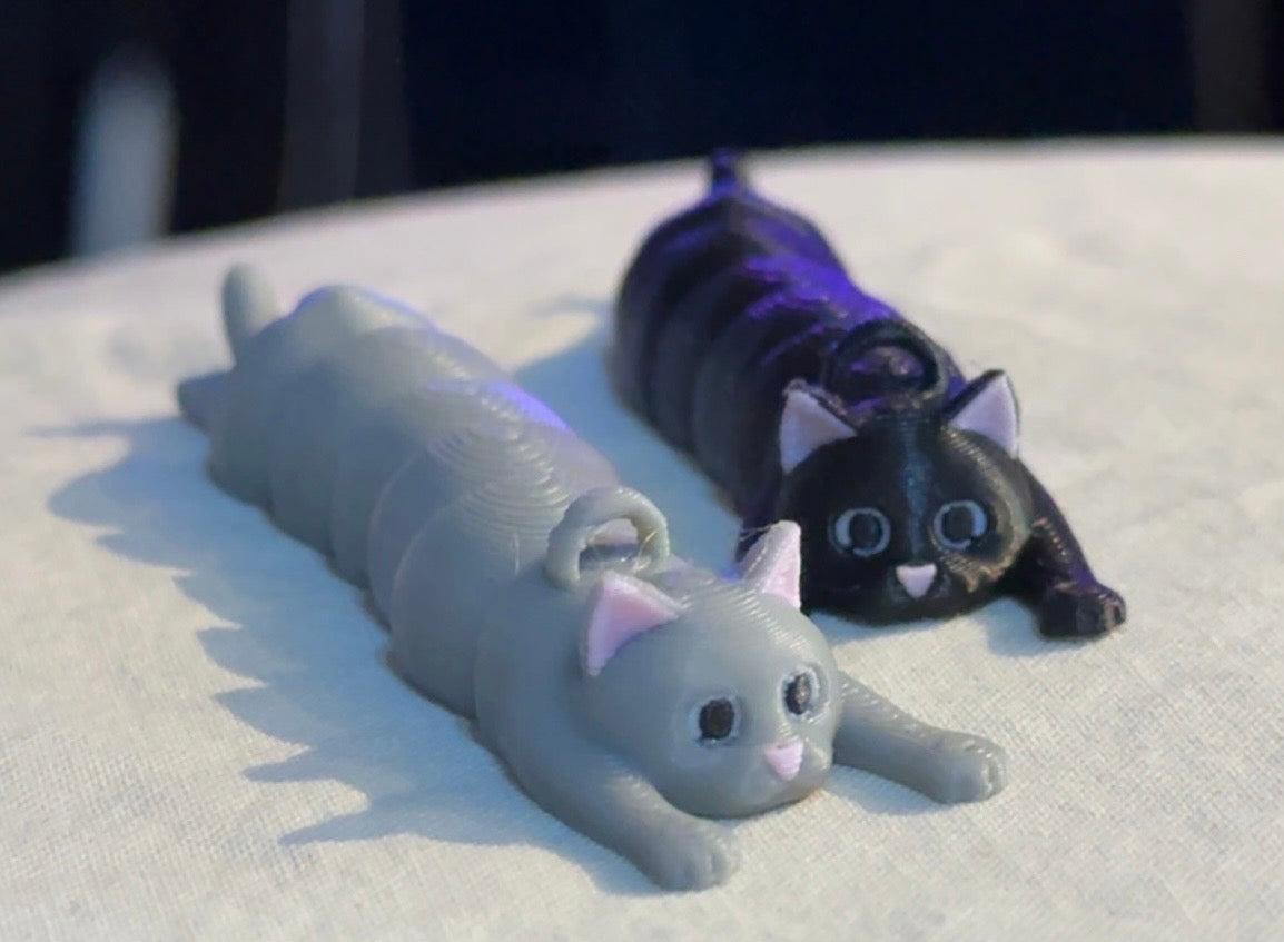 Katten Bølla 🐈‍⬛