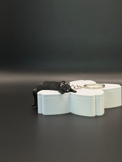 Katten Bølla 🐈‍⬛