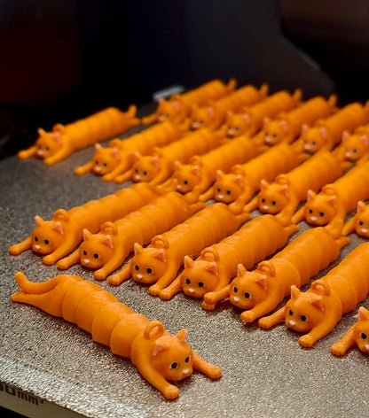 Katten Bølla 🐈‍⬛