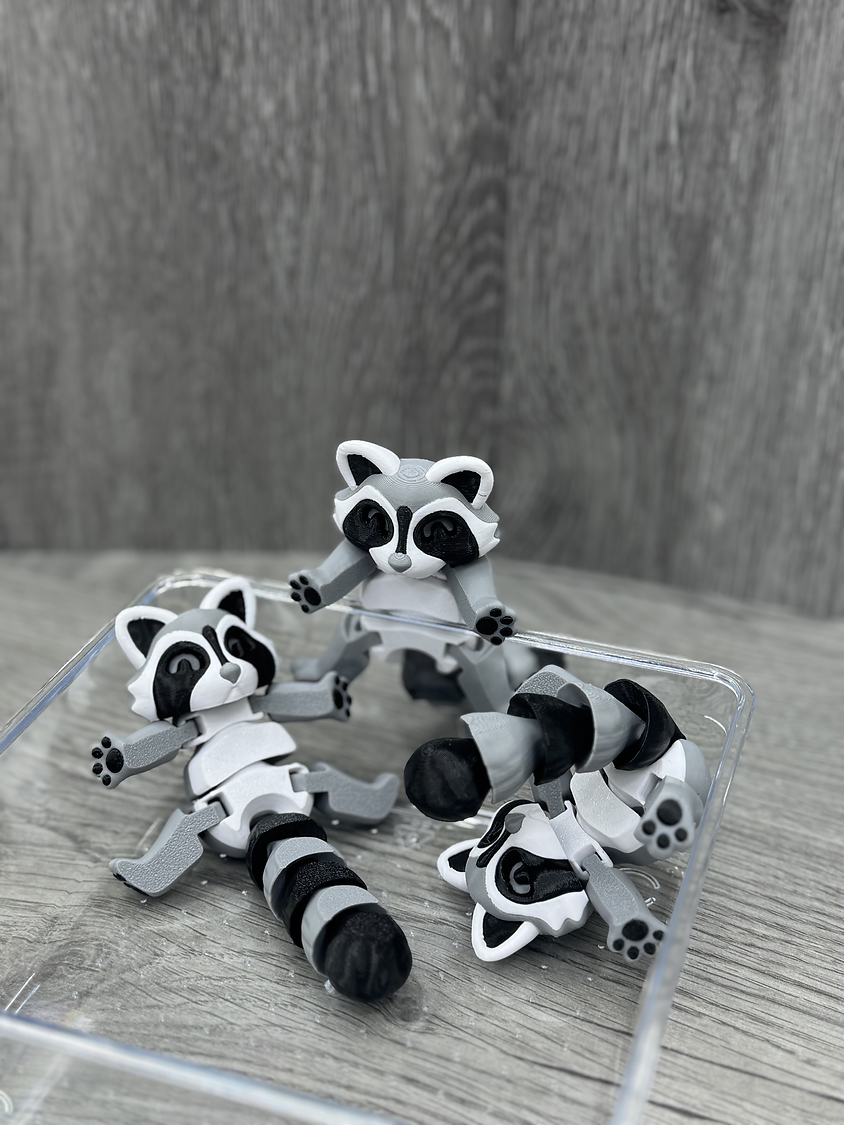 Trash Panda