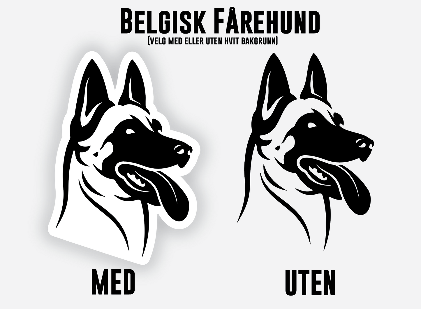 Belgisk Fårehund