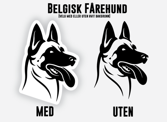 Belgisk Fårehund