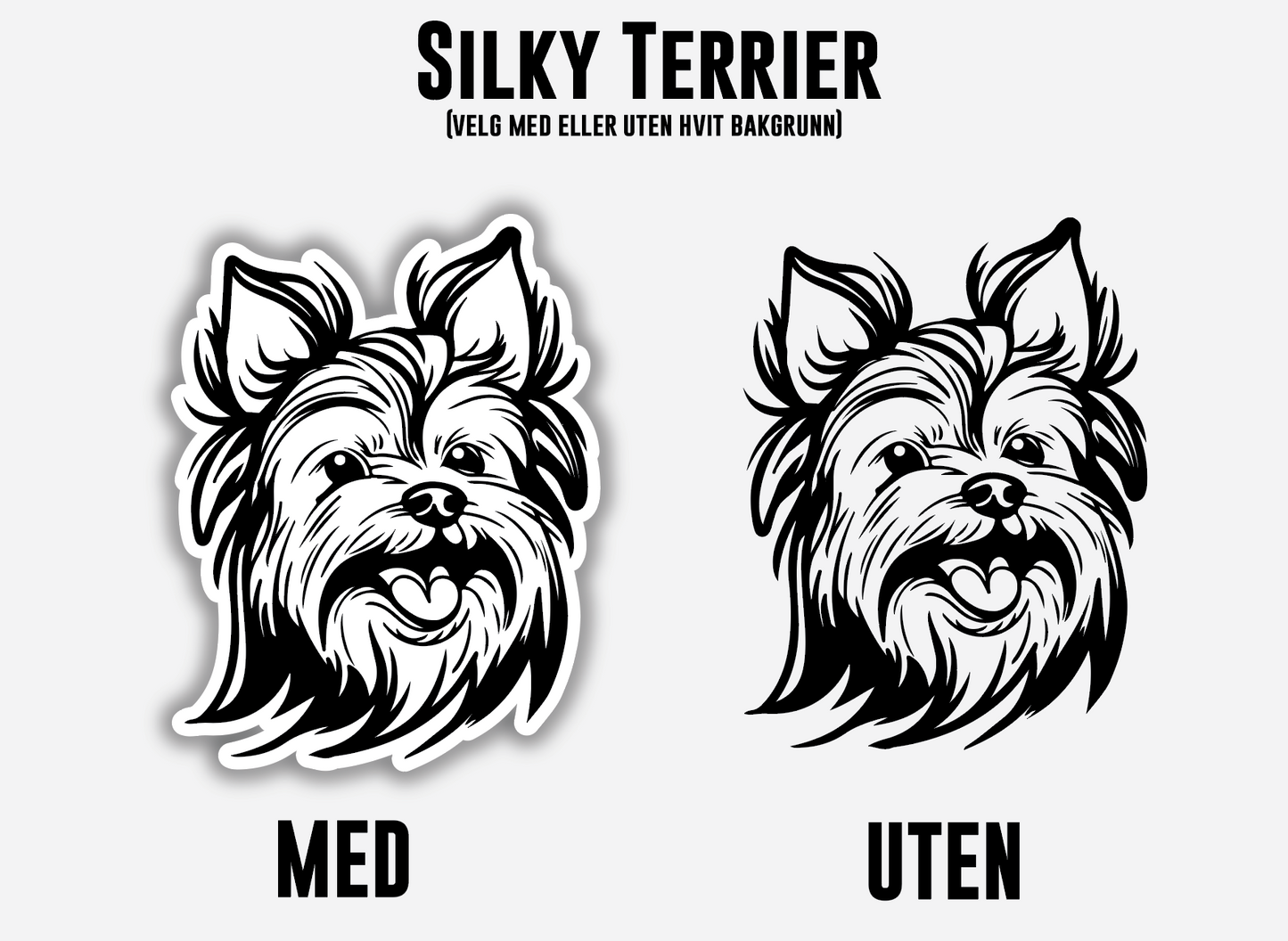 Silky Terrier