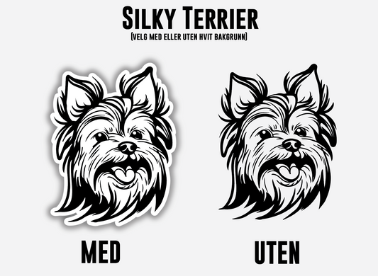 Silky Terrier