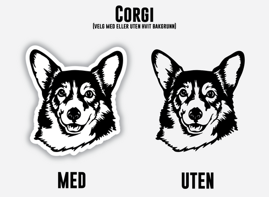 Corgi