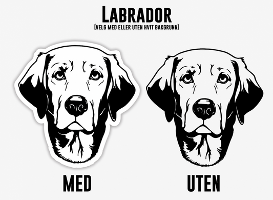 Labrador
