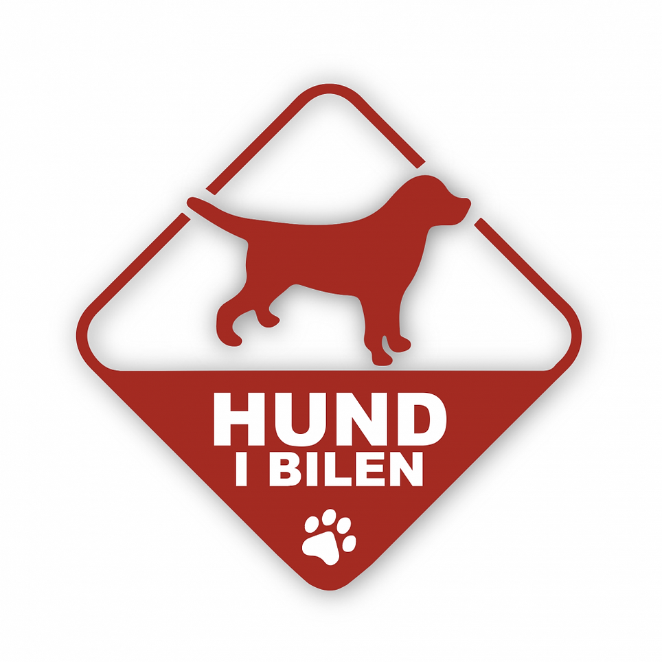Hund i bilen