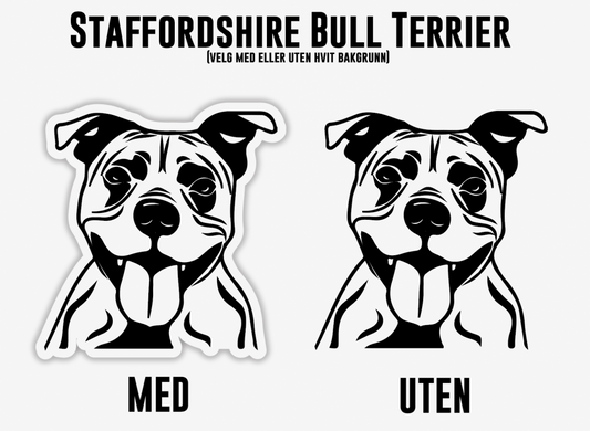 Staffordshire Bull Terrier
