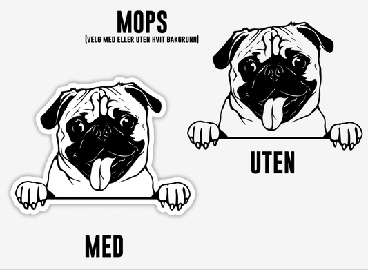 Mops