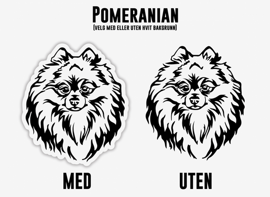 Pomeranian