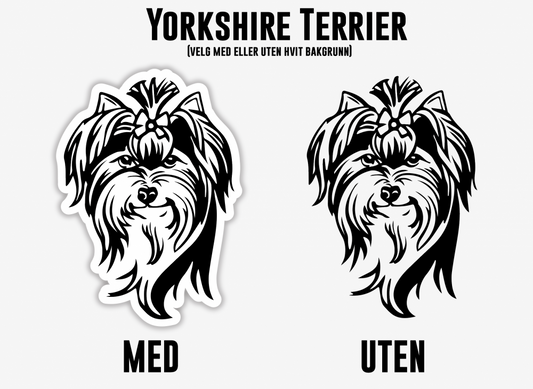 Yorkshire Terrier