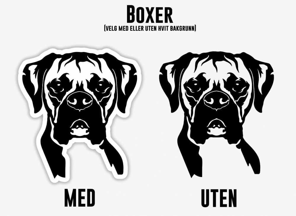 Boxer