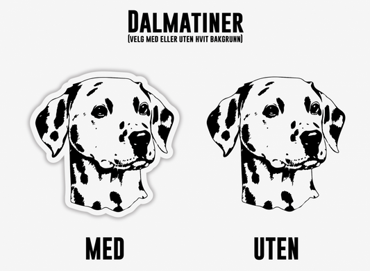 Dalmatiner