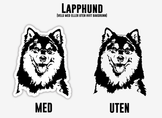 Lapphund