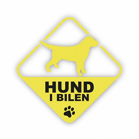 Hund i bilen