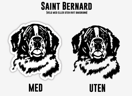 Saint Bernard