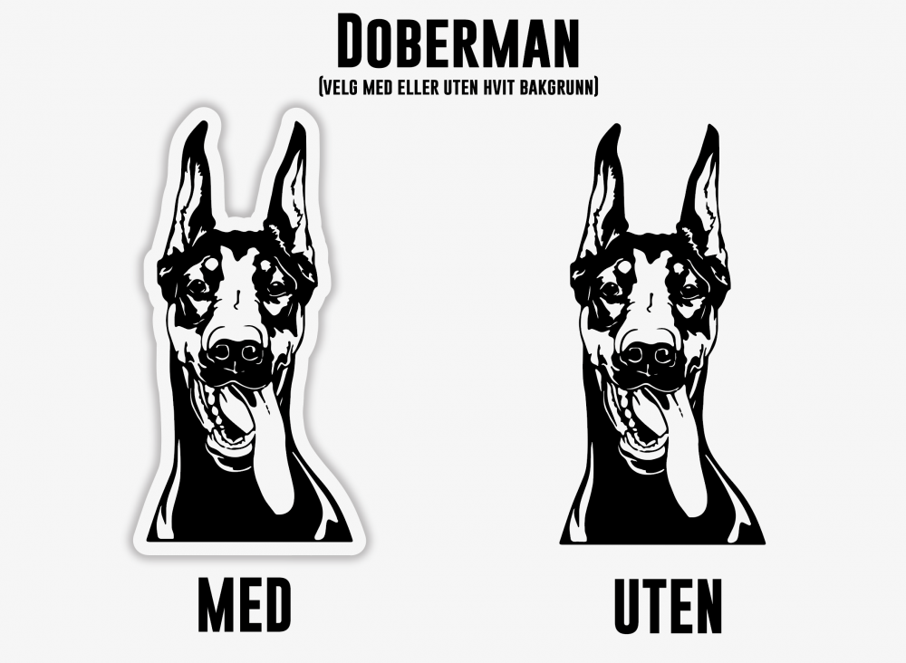 Doberman