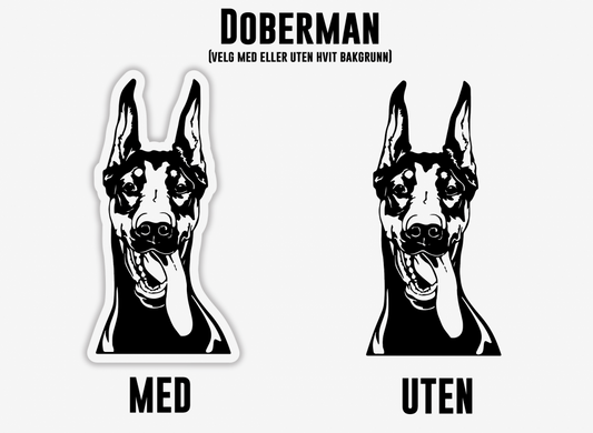Doberman