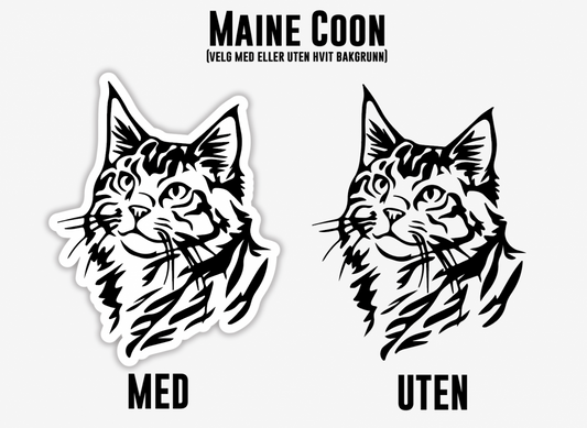 Maine Coon