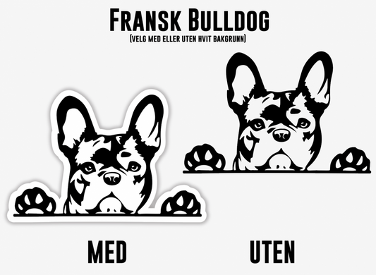 Fransk Bulldog