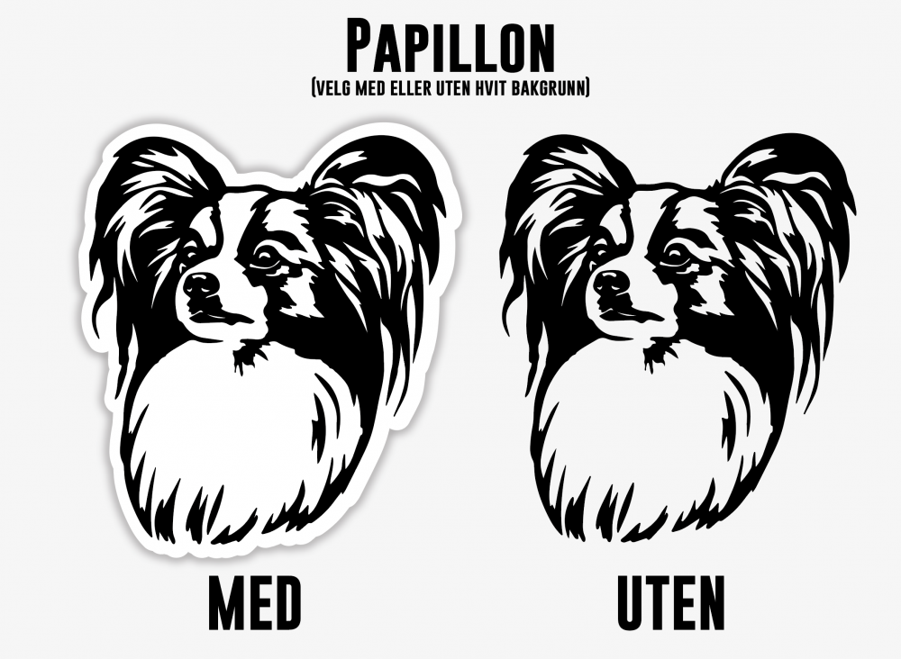 Papillon
