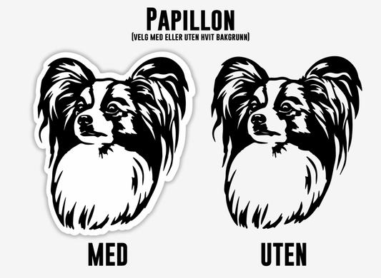 Papillon