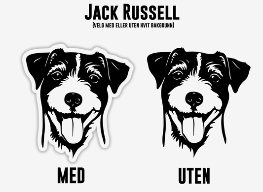 Jack Russel