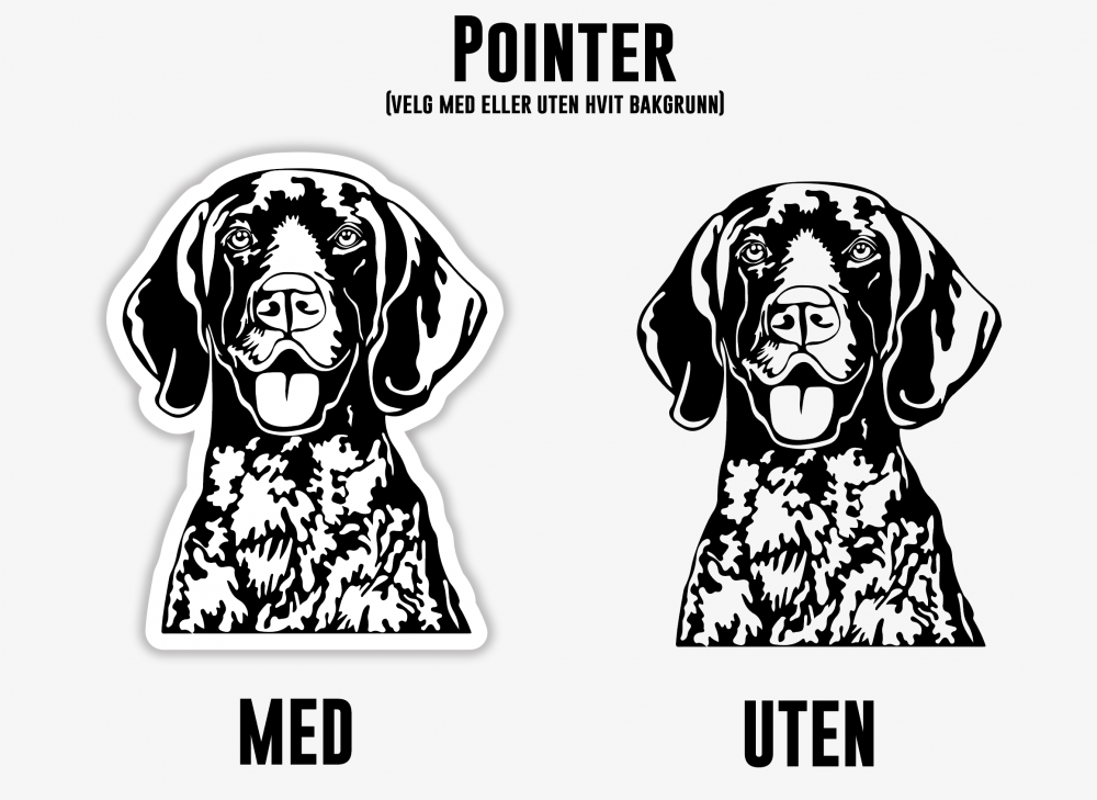 Pointer