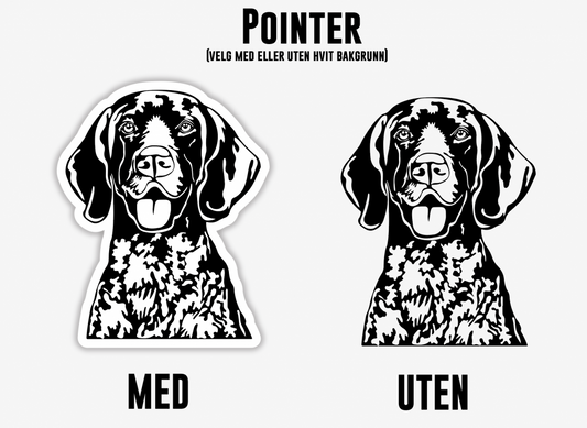 Pointer