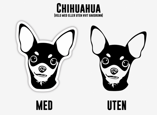 Chihuahua